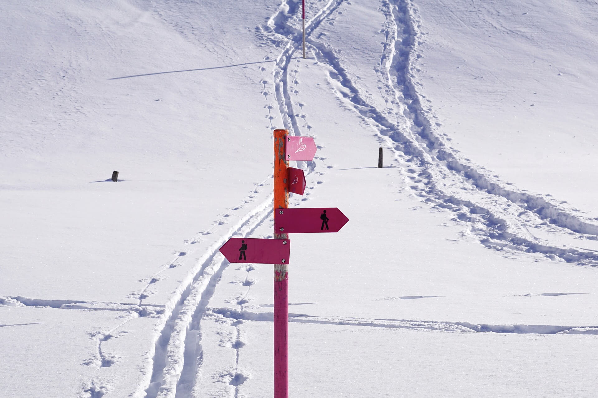 Read more about the article Schneeschuhwanderung versus Skitour