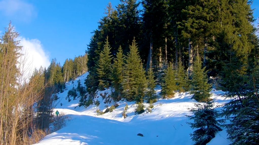 Schneeschuhtour Schönalmjoch - Karwendel