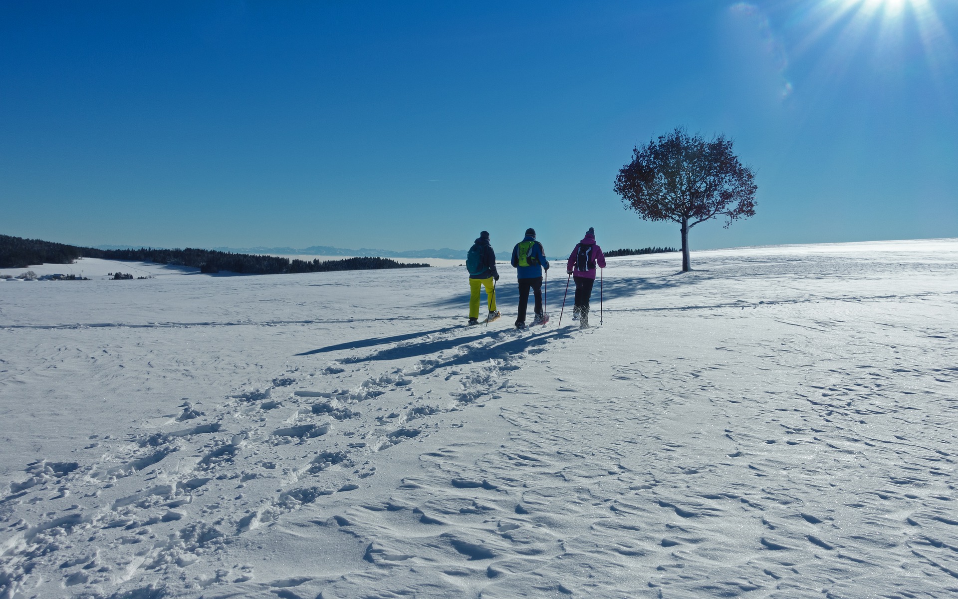 Read more about the article Schneeschuhwandern: Die richtige Bekleidung