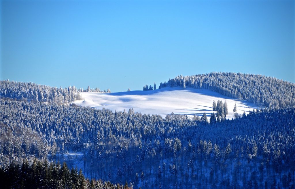 Schneeschuhwandern in Schwarzwald