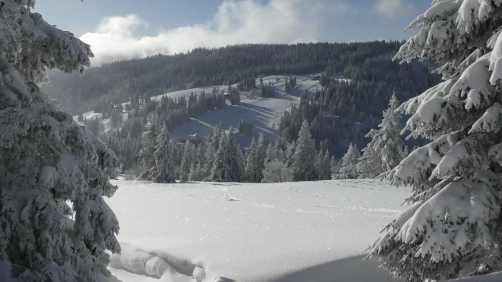 Schneeschuhwandern in Schwarzwald: Feldberg