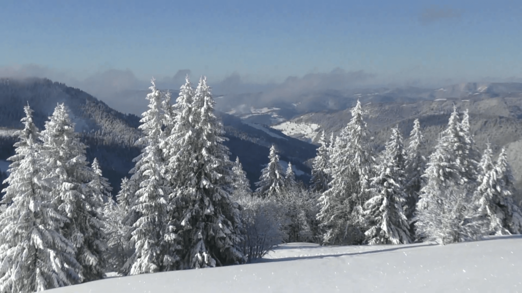 Schneeschuhwandern in Schwarzwald: Feldberg