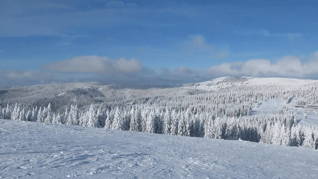 Schneeschuhwandern in Schwarzwald: Herzogenhorn