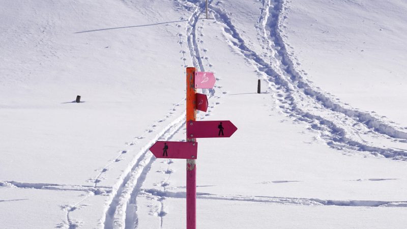 Spuren Schneeschuhe und Skier